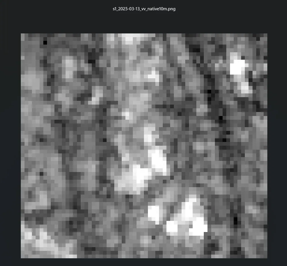 Native 10 metre Sentinel-1 SAR image of the same Walmart location